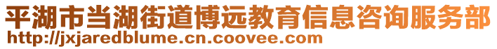 平湖市當(dāng)湖街道博遠(yuǎn)教育信息咨詢服務(wù)部