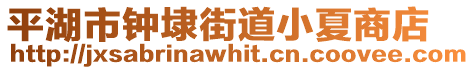 平湖市鐘埭街道小夏商店