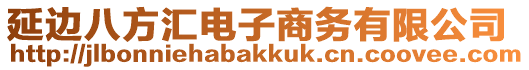 延邊八方匯電子商務(wù)有限公司