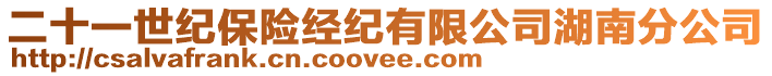 二十一世紀保險經紀有限公司湖南分公司