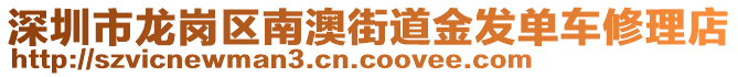 深圳市龍崗區南澳街道金發單車修理店