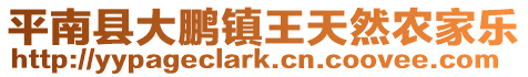 平南縣大鵬鎮王天然農家樂