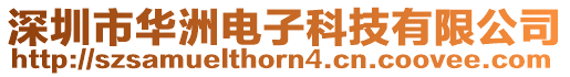 深圳市華洲電子科技有限公司