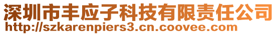 深圳市豐應子科技有限責任公司