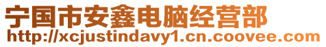 寧國市安鑫電腦經(jīng)營部