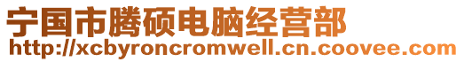 寧國市騰碩電腦經營部