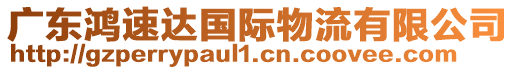 廣東鴻速達(dá)國(guó)際物流有限公司