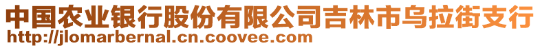 中國農(nóng)業(yè)銀行股份有限公司吉林市烏拉街支行