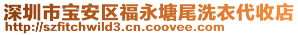 深圳市寶安區(qū)福永塘尾洗衣代收店