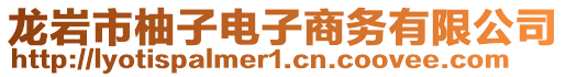 龍巖市柚子電子商務有限公司