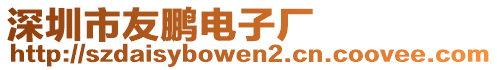 深圳市友鵬電子廠