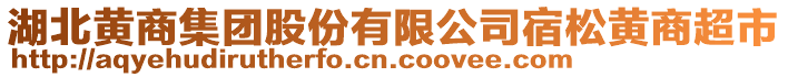 湖北黃商集團(tuán)股份有限公司宿松黃商超市