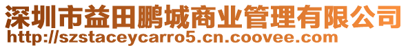 深圳市益田鵬城商業(yè)管理有限公司