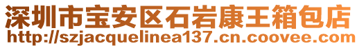 深圳市寶安區(qū)石巖康王箱包店