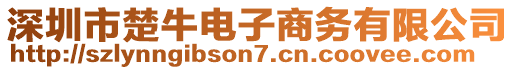 深圳市楚牛电子商务有限公司