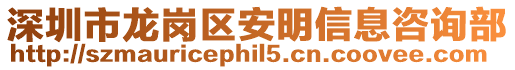 深圳市龍崗區安明信息咨詢部