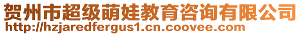 賀州市超級萌娃教育咨詢有限公司