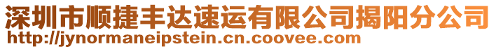 深圳市順捷豐達速運有限公司揭陽分公司