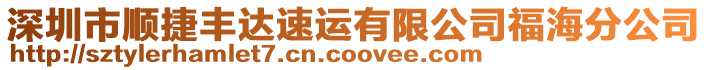 深圳市順捷豐達速運有限公司福海分公司