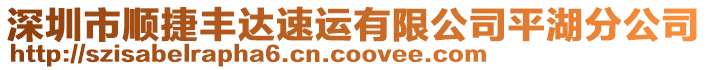 深圳市順捷豐達(dá)速運(yùn)有限公司平湖分公司