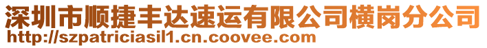 深圳市順捷豐達速運有限公司橫崗分公司