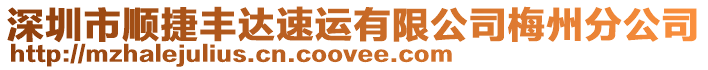 深圳市順捷豐達速運有限公司梅州分公司