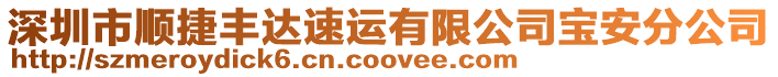 深圳市順捷豐達(dá)速運(yùn)有限公司寶安分公司