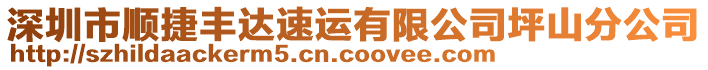 深圳市順捷豐達(dá)速運(yùn)有限公司坪山分公司