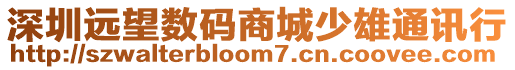 深圳遠(yuǎn)望數(shù)碼商城少雄通訊行