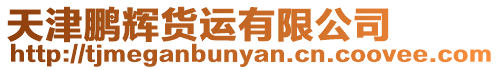 天津鵬輝貨運有限公司