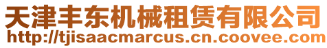 天津豐東機(jī)械租賃有限公司