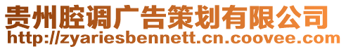 貴州腔調廣告策劃有限公司