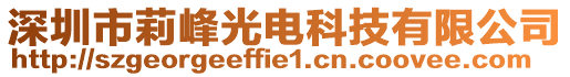 深圳市莉峰光電科技有限公司