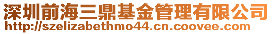 深圳前海三鼎基金管理有限公司