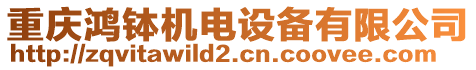 重慶鴻缽機電設備有限公司
