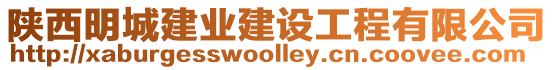 陜西明城建業建設工程有限公司