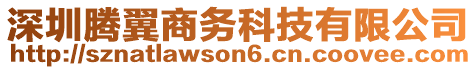 深圳騰翼商務科技有限公司