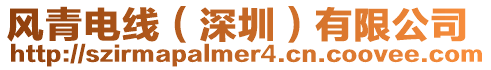 風青電線(深圳)有限公司