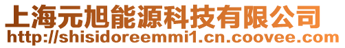 上海元旭能源科技有限公司