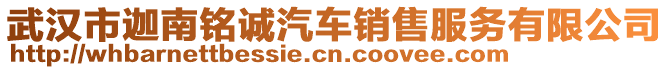 武漢市迦南銘誠汽車銷售服務(wù)有限公司