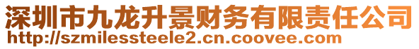 深圳市九龍升景財務有限責任公司