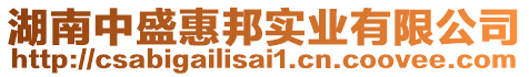 湖南中盛惠邦實(shí)業(yè)有限公司