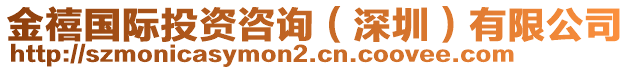 金禧国际投资咨询（深圳）有限公司