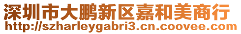 深圳市大鵬新區(qū)嘉和美商行