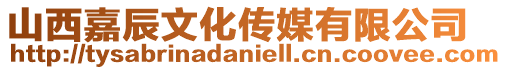山西嘉辰文化傳媒有限公司