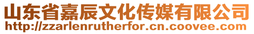 山東省嘉辰文化傳媒有限公司