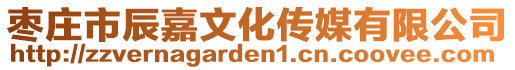棗莊市辰嘉文化傳媒有限公司