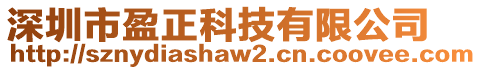 深圳市盈正科技有限公司