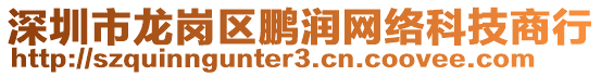 深圳市龍崗區(qū)鵬潤(rùn)網(wǎng)絡(luò)科技商行