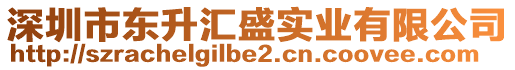 深圳市東升匯盛實業(yè)有限公司